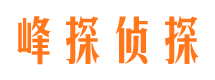 连平情人调查